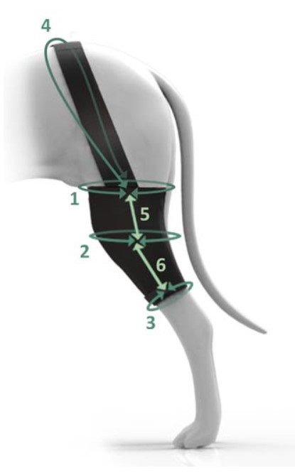 Kolenní ortéza na zakázku